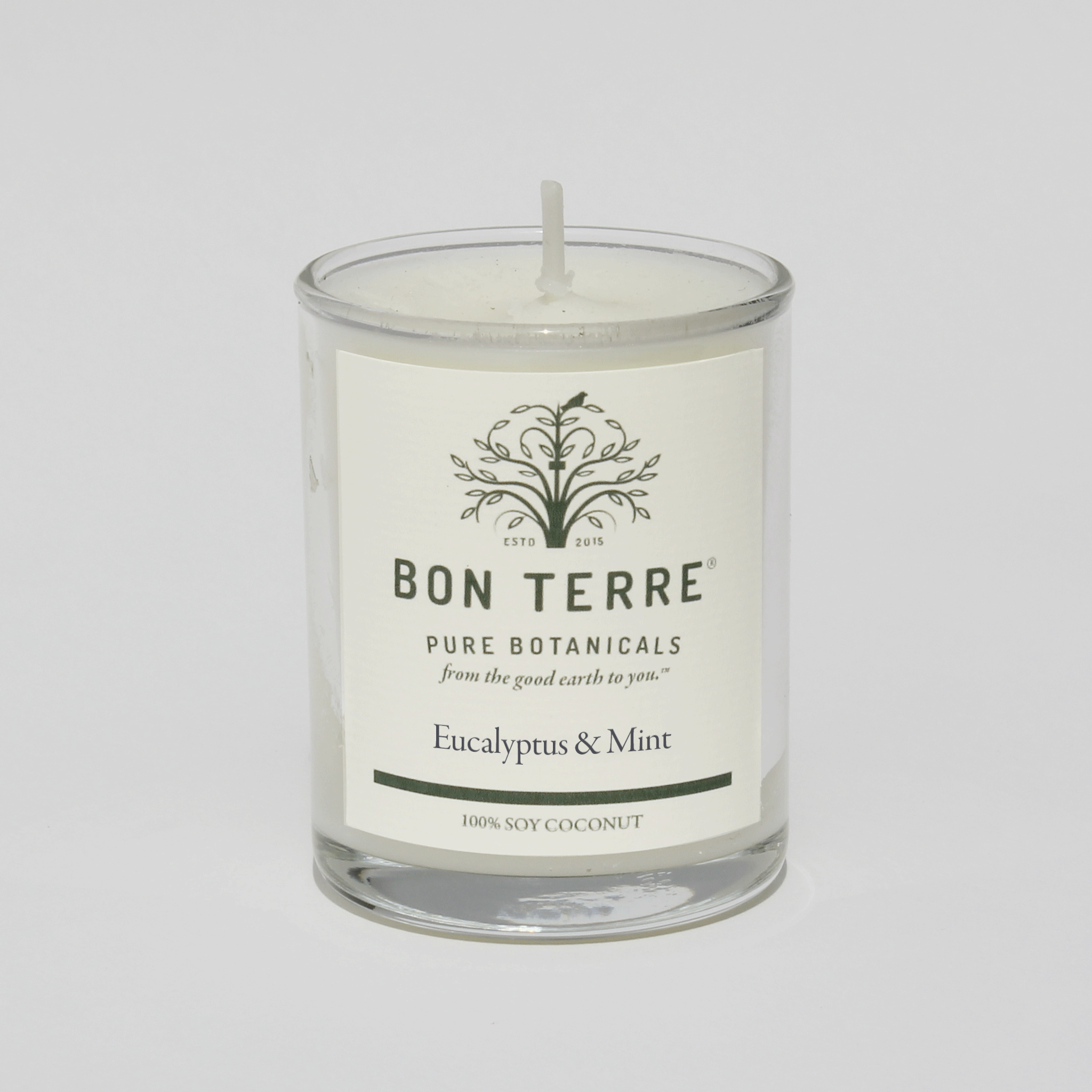 Bon Terre® Eucalyptus & Mint Soy Coconut Candle - 3.5 oz.