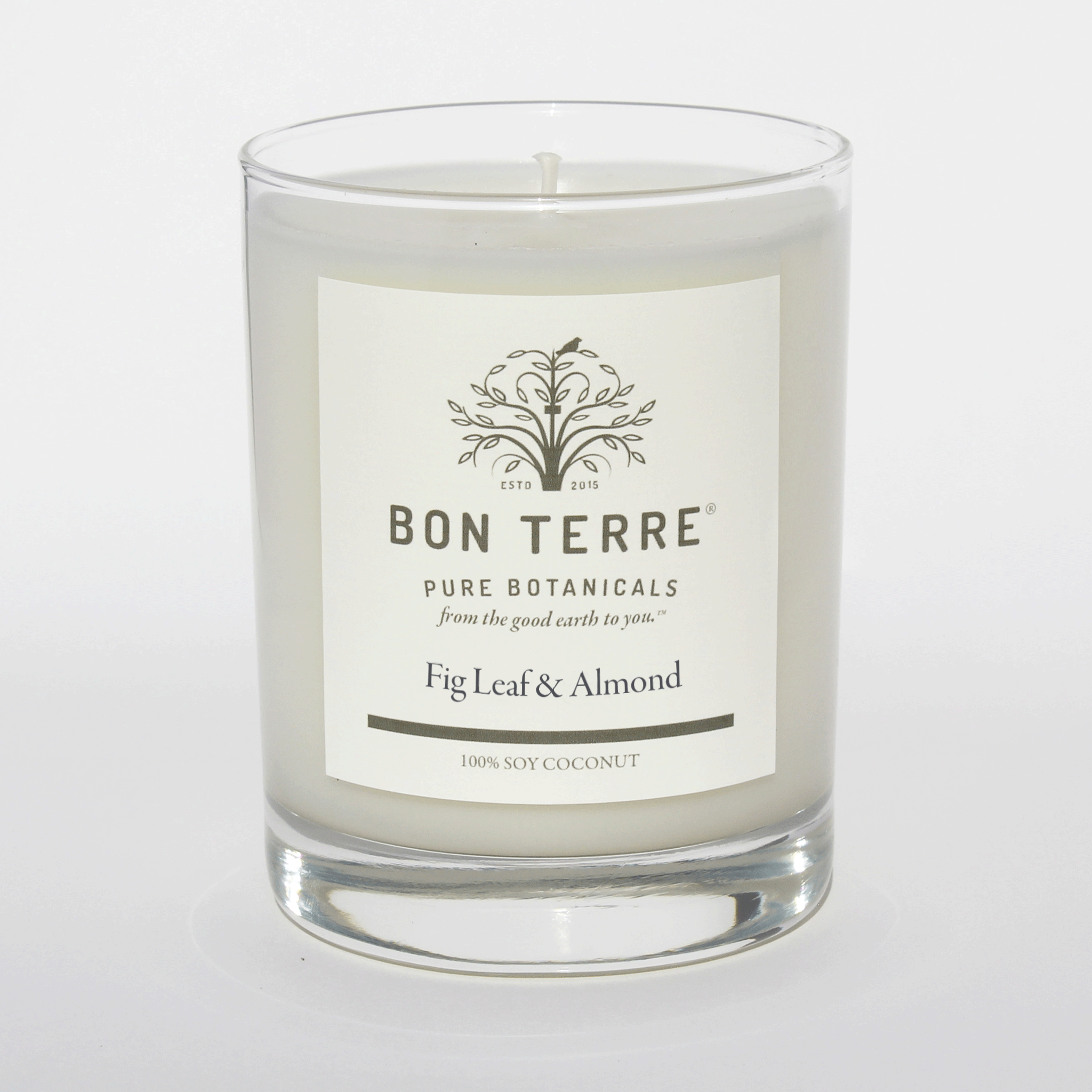 Bon Terre® Fig Leaf & Almond Soy Coconut Candle- 13.5 oz. Tumbler 